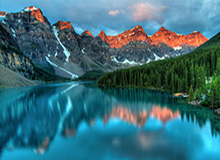 乐鱼赛事服务：让每一场赛事更专业更高效